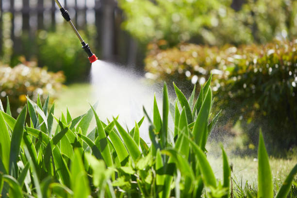 24/7 Emergency Ant Control experts in Key Largo, FL